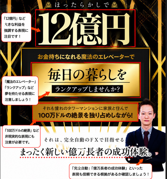 FX自動売買システム『FXミリオネアタワー』の広告文言のスクリーンショット。『ほったらかしで12億円』『お金持ちになれる魔法のエレベーターで毎日の暮らしをランクアップしませんか?』『タワーマンションに家族と住んで100万ドルの絶景を独り占め』『それは、完全自動のFXで目指せる。まったく新しい億万長者の成功体験。』と書かれている